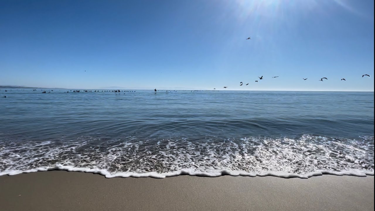 A Day at the Beach -ASMR ocean waves 🌊🌊 🌊  🌞