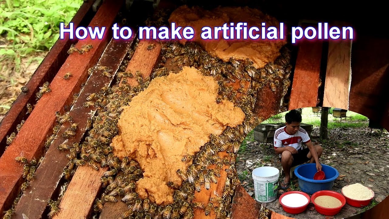 How to make artificial pollen | Feed the bees with artificial pollen