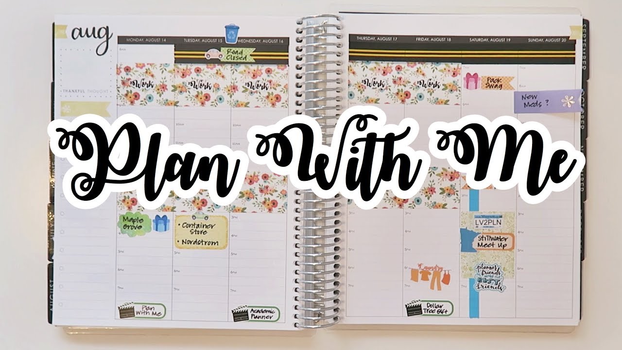 Plan With Me | August 14th - 20th | Erin Condren Hourly