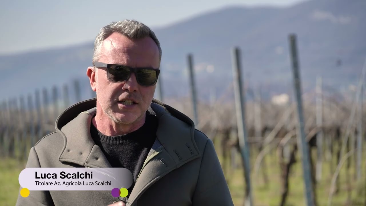 PERGADO: I vantaggi di una soluzione versatile