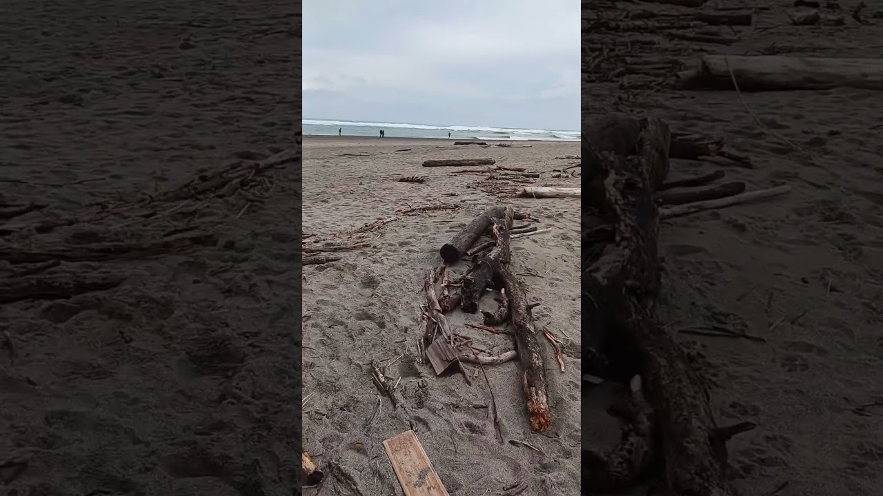 Lincoln city Oregon. 