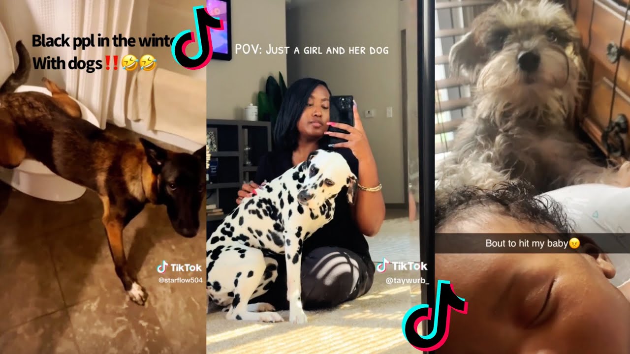 Black Folks and Their pets | Funny tiktok compilations #blackwoman