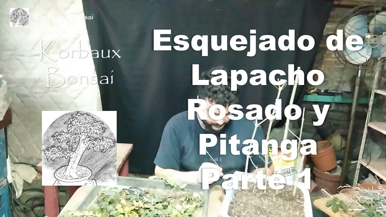 LN T1E4 Esquejado de Lapacho Rosado y Pitanga. Parte 1