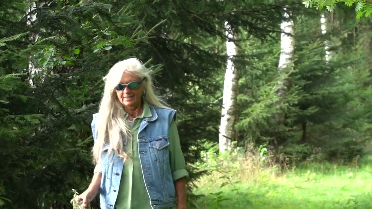 SONG 65: Kr&auml;uter ;)