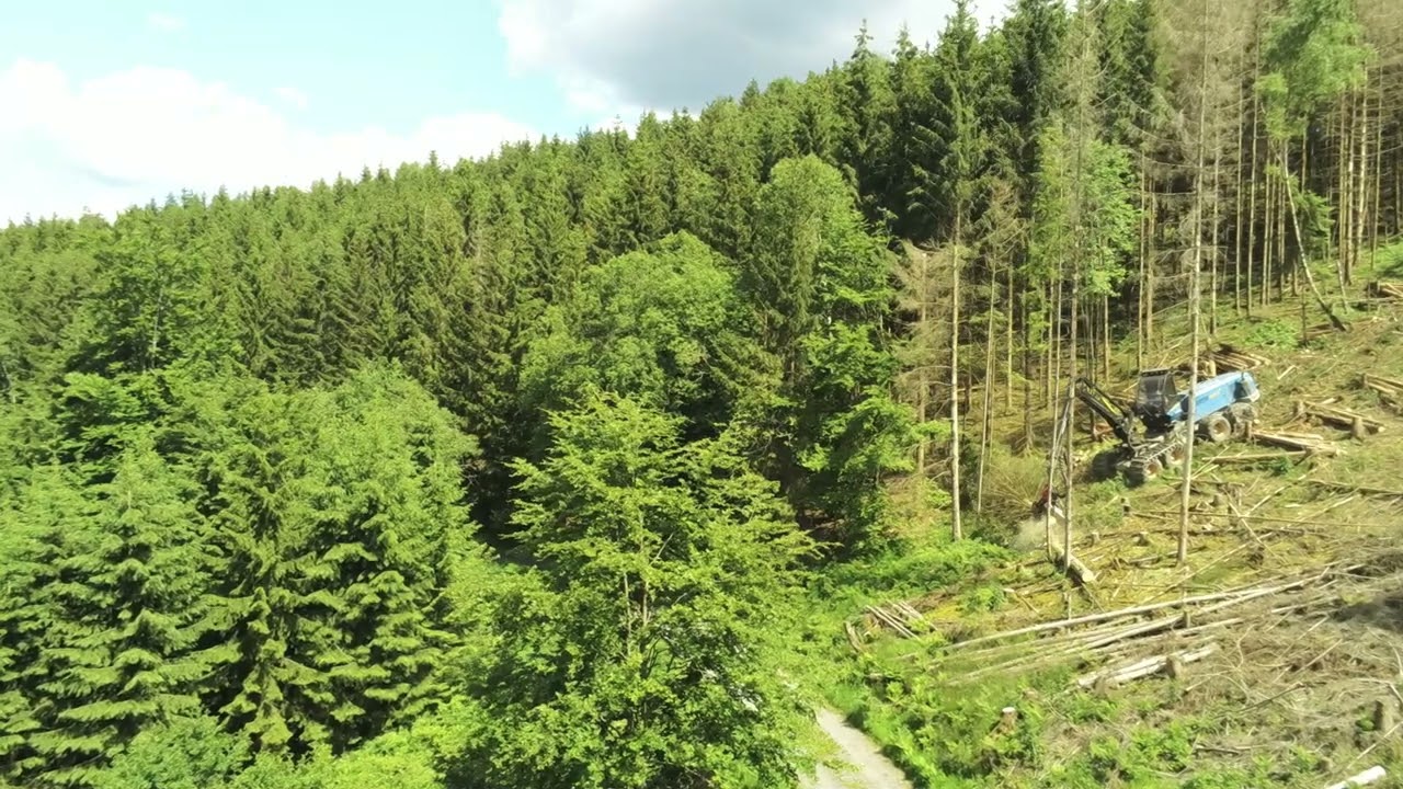 Harvester Rottne H11D im Gelände Käferfichten #forstwirtschaft #harvester #holzfäller #wald#forestry