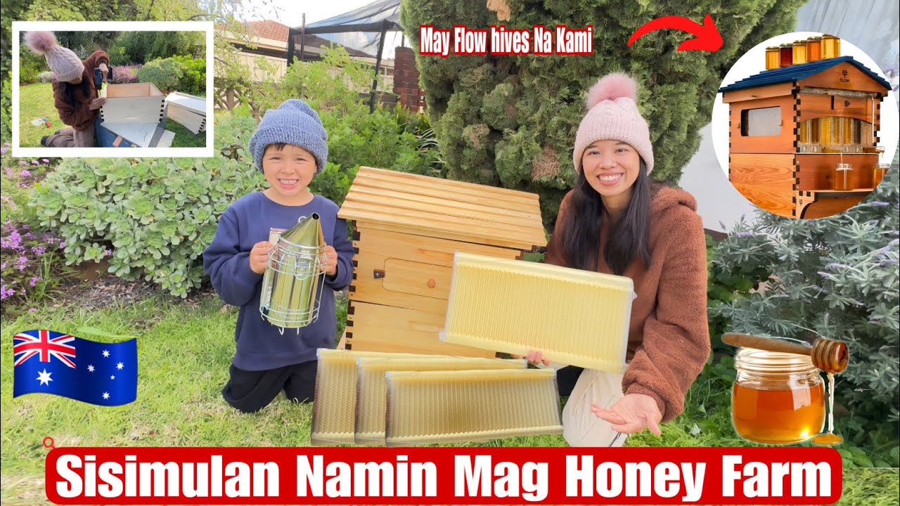 Sisimulan Namin Mag Set Up Ng Honey Farm 
