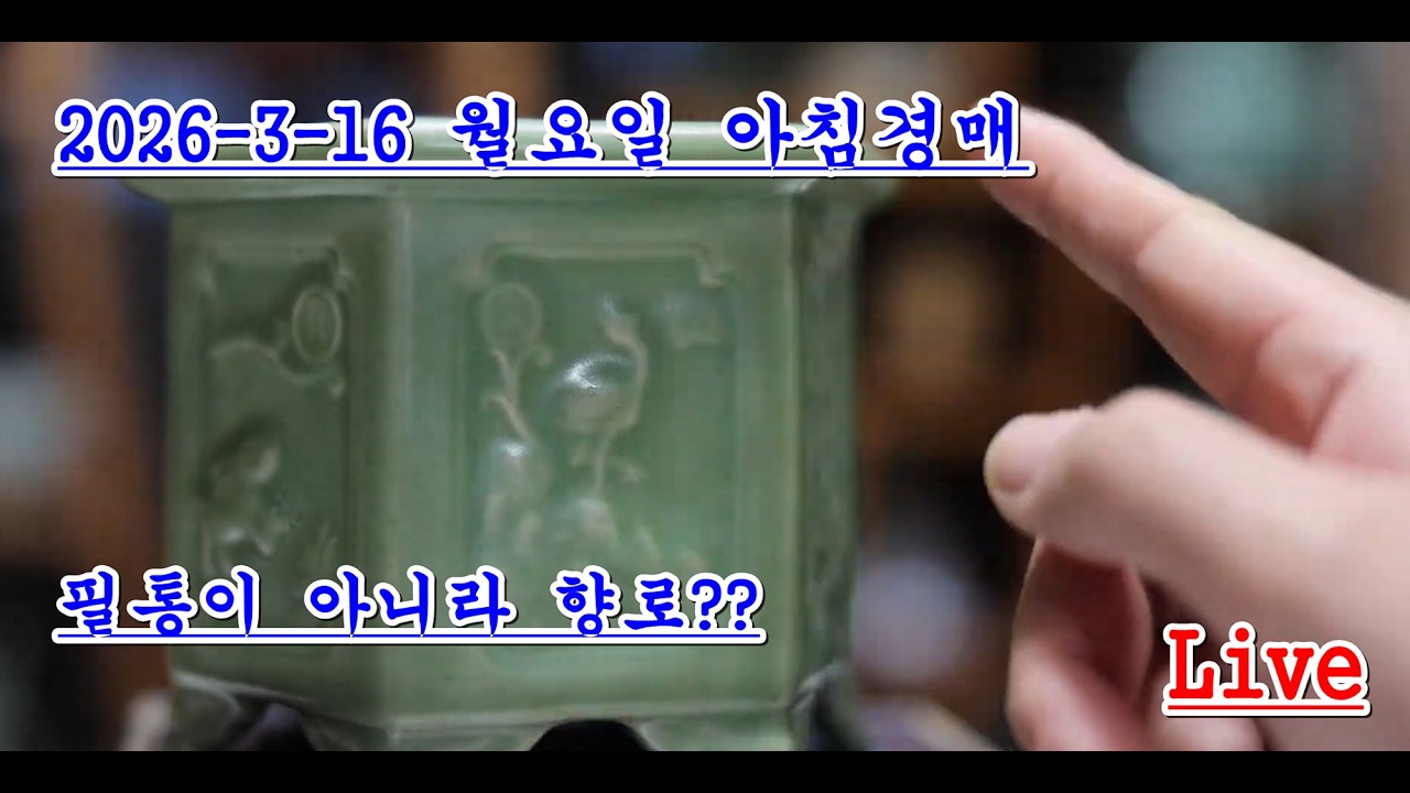 생방송) 중국 도자기 경매 방송 -  월요일 오전  6시 02분  #찻잔 #cup #경매 #앤틱 #vase