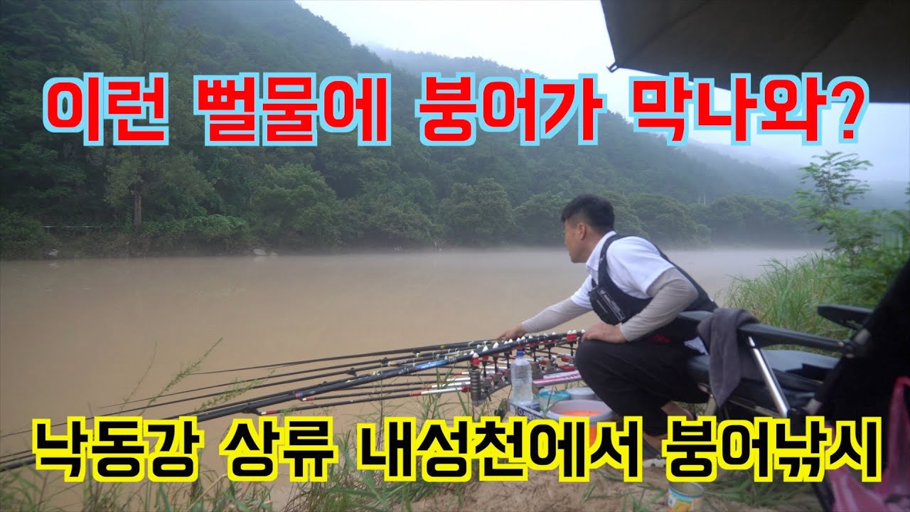 경북 영주 낙동강 상류 내성천 붕어낚시