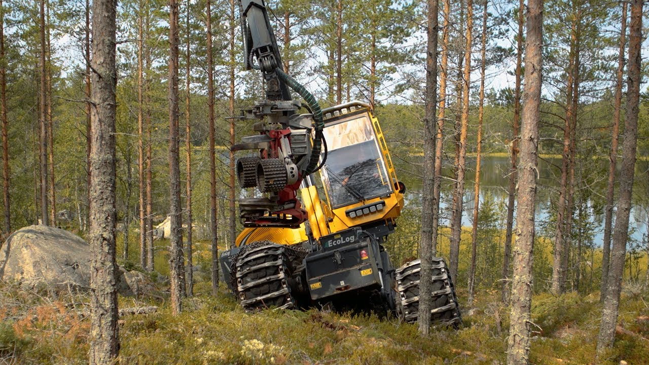 Eco Log skördare i 500-serien – pendelarmar och nivellering