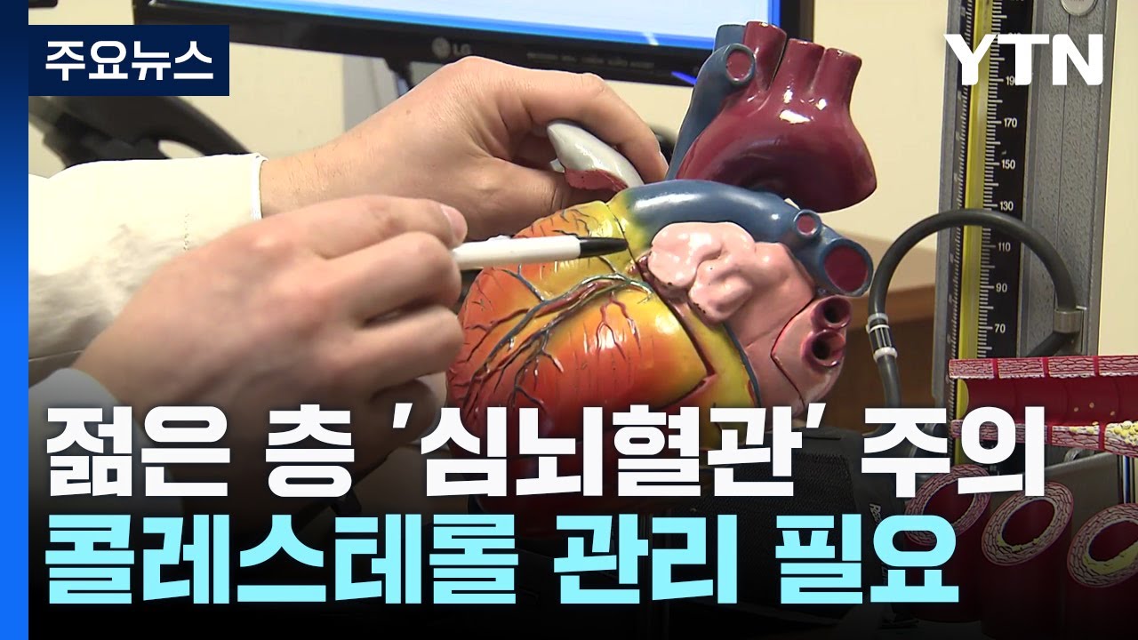 젊은 층도 '심뇌혈관' 주의...콜레스테롤 관리 필요 / YTN