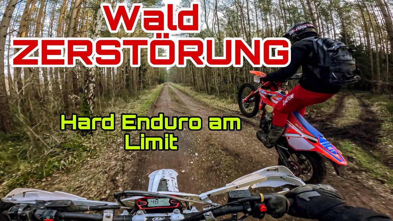 Hard Enduro im Wald😱 Brutale Single Trails & Baumstamm-Action mit der Beta 4K