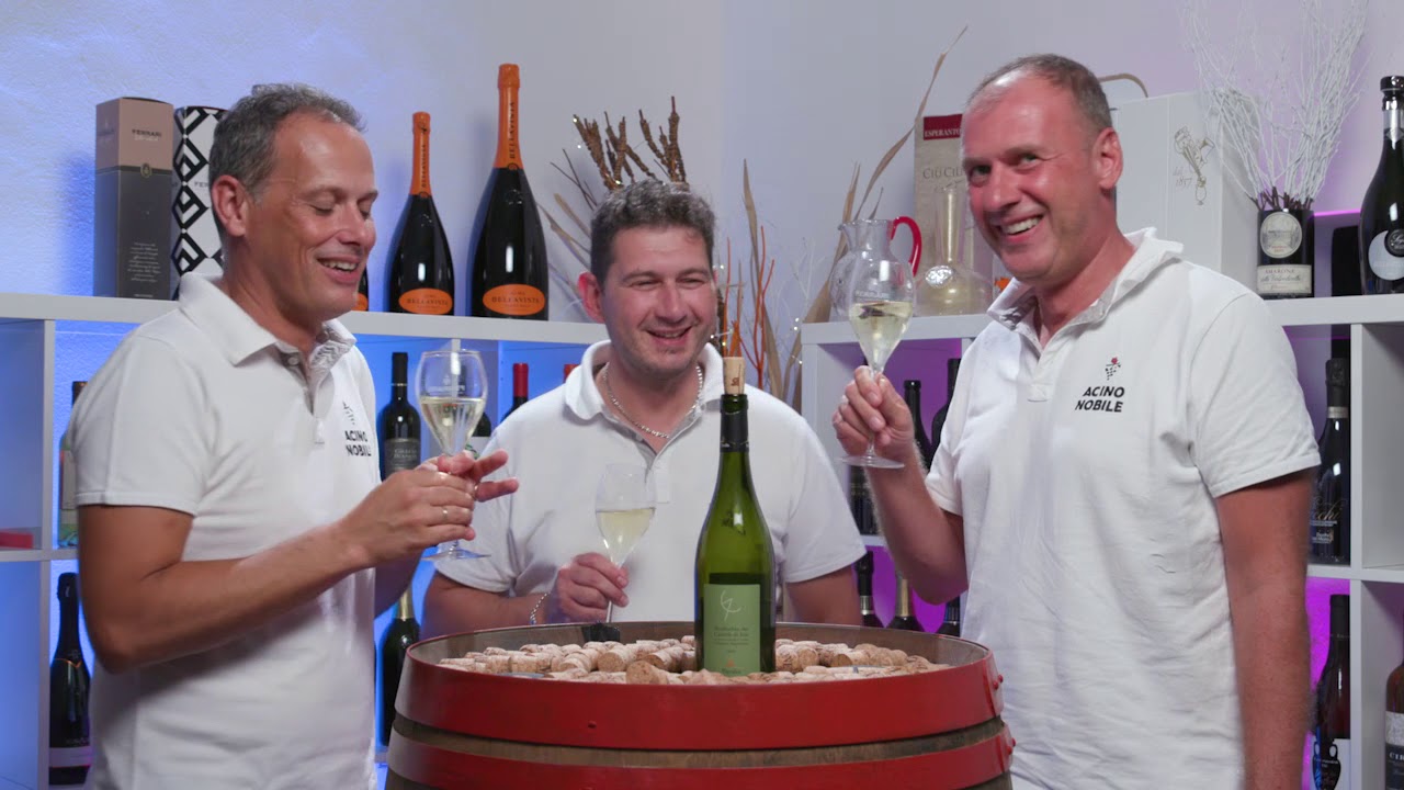 Verdicchio di Jesi