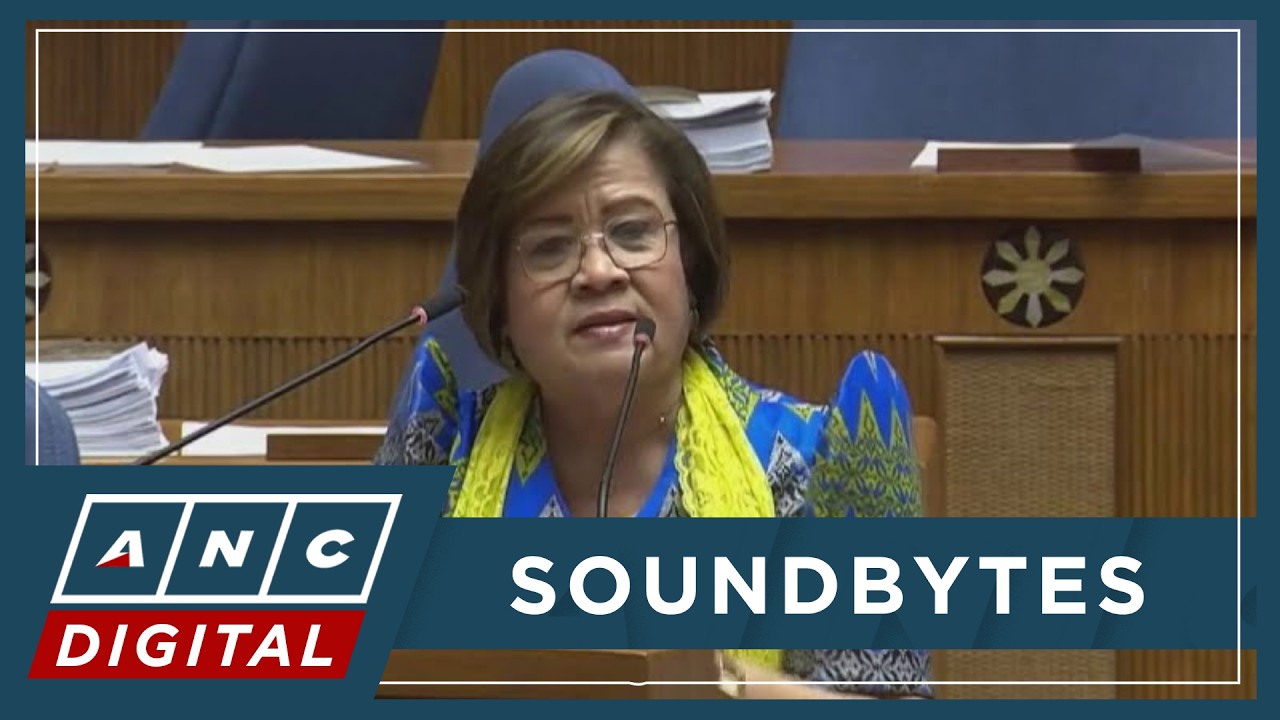 De Lima: Duterte's ICC turnover an arrest not kidnapping | ANC