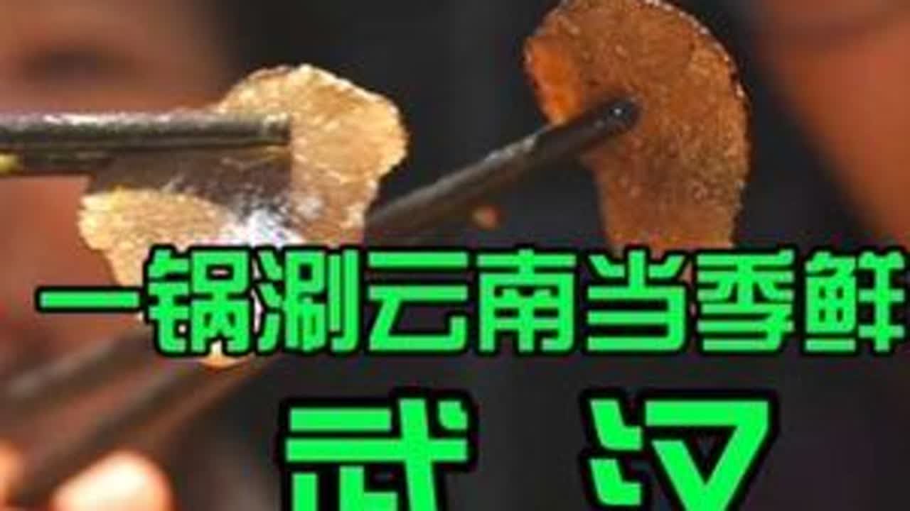 两个人吃一次菌子火锅，这家你肯定也吃过 #周末搭子 #芸山季 #菌子火锅#哪家菌子火锅好吃#武汉美食