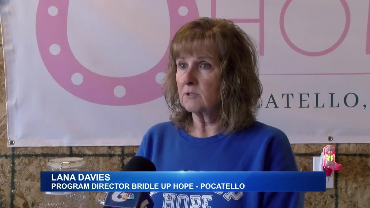 Two Eastern Idaho Organizations use Horses for Healing and Teaching Life Skills