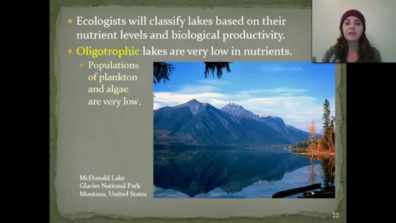 Freshwater Ecosystems