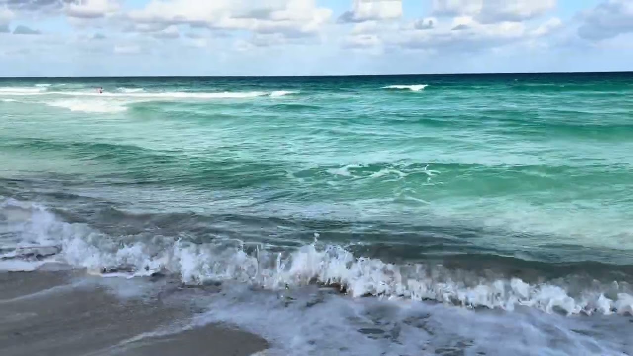 We couldn’t believe What we saw in Cancun beach