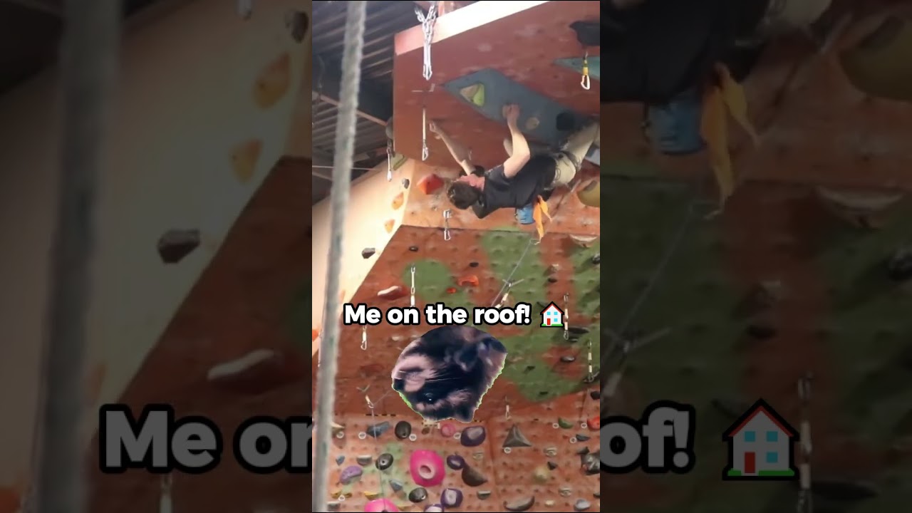 The roof is a vibe 😎🤘🧗&zwj;♂️  #climbinglife #bouldering #outdoorclimbing #rockclimbing #climbingnation