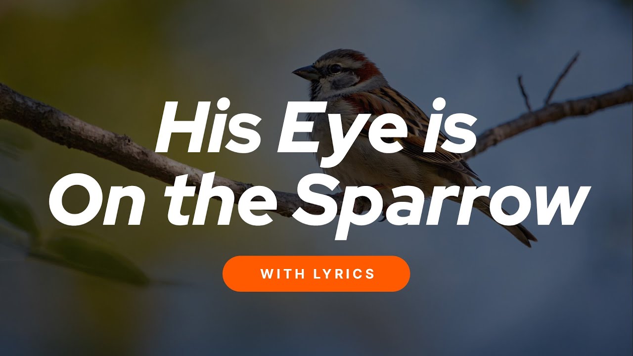 🐦 His Eye Is on the Sparrow (With Lyrics) – Faithful Worship Music