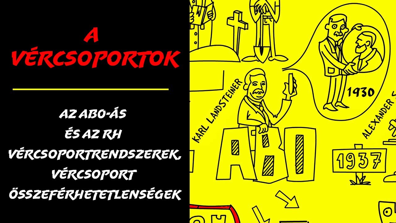 A vércsoportok, az AB0-ás és az Rh vércsoportrendszerek, vércsoport összeférhetetlenségek