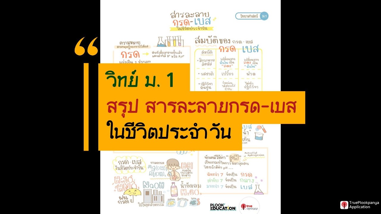 สรุปวิทย์ ม.1 สารละลายกรด เบสในชีวิตประจำวัน #วิทยาศาสตร์