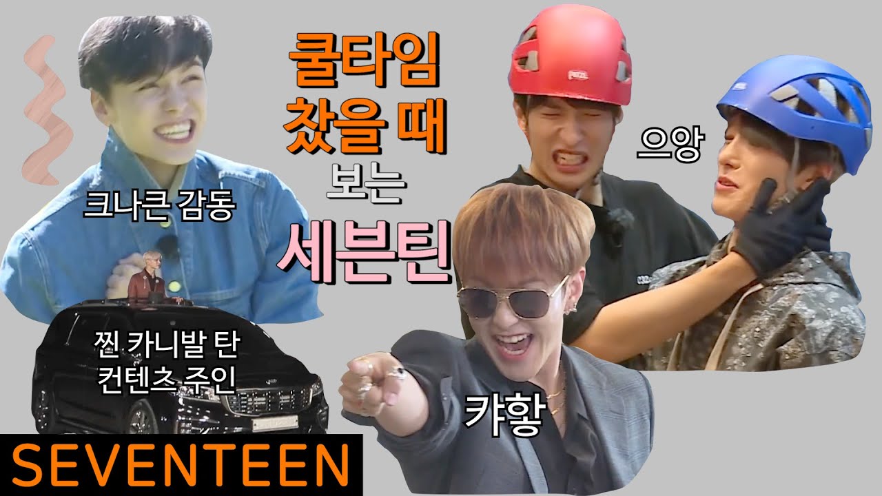 타팬들도 볼 쿨타임 찼을 때 보는 세븐틴