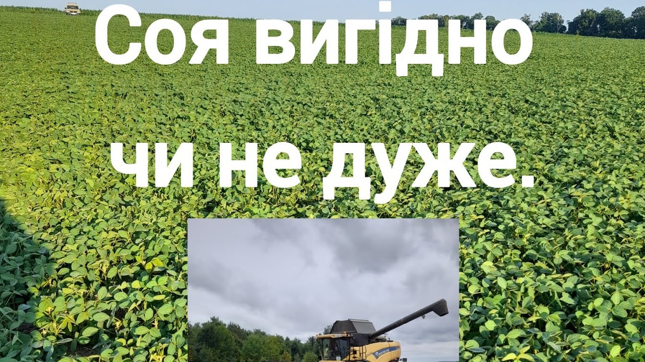 СОЯ ВИГІДНО ЧИ НЕ ВИГІДНО , приблизний аналіз рентабильності сої в умовах маленького фермера.