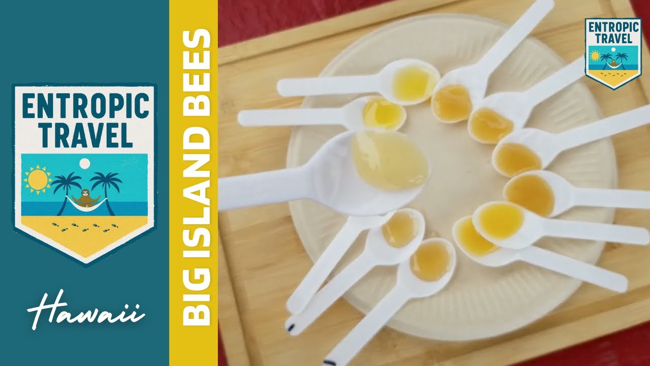 Big Island Bees Tour, Hawaii | Honey Tasting, Beekeeping & Eco-Tourism Experience