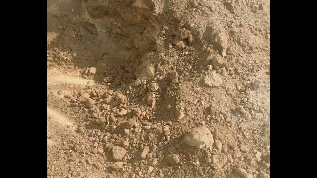 تسميد النخل بالسماد العضوي