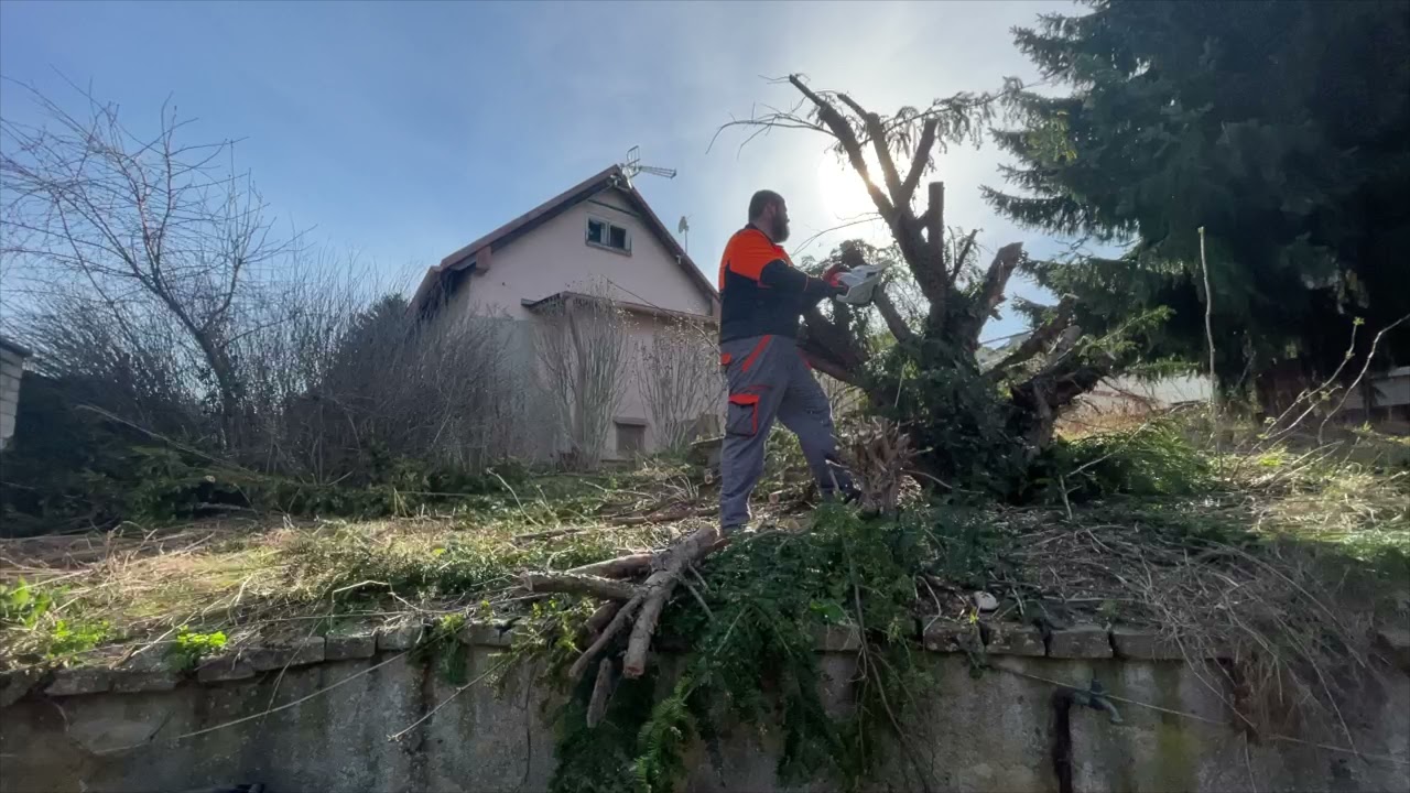 V&yacute;řez a likvidace dřevin Praha