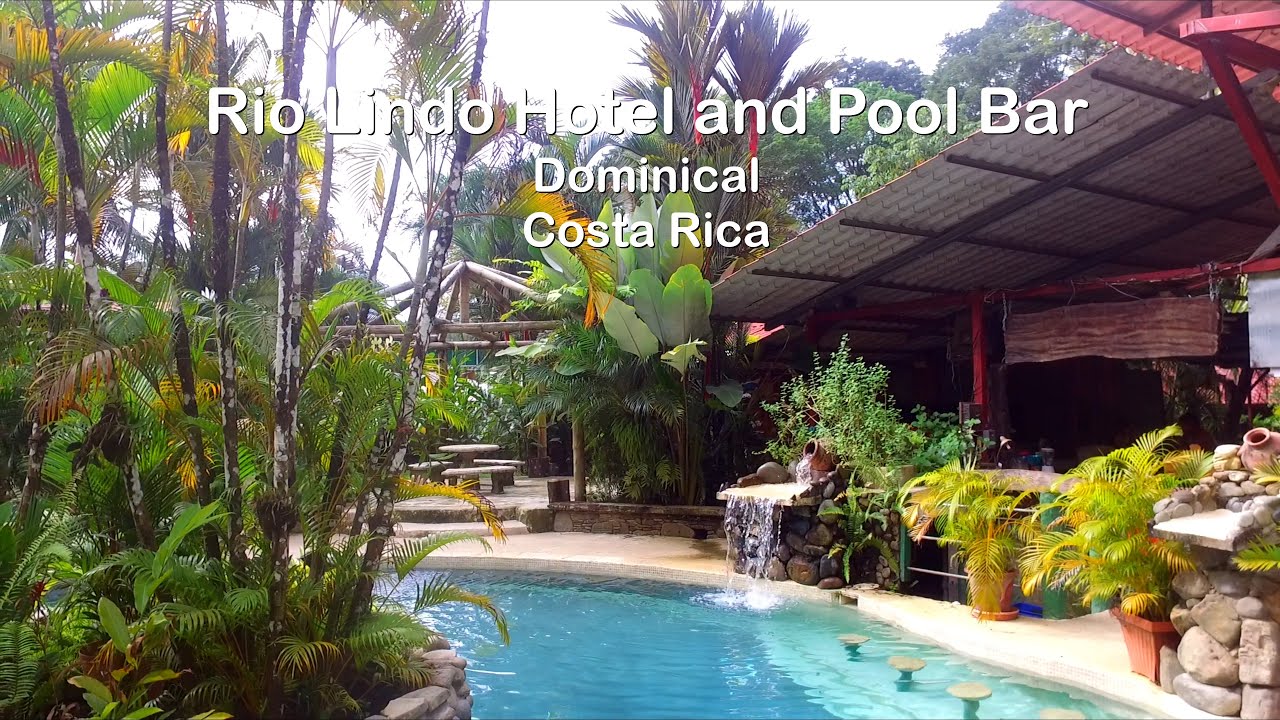 Rio Lindo Hotel, Dominical 🇨🇷 | Tropical Vibes & River Views in Costa Rica’s Coolest Surf Town