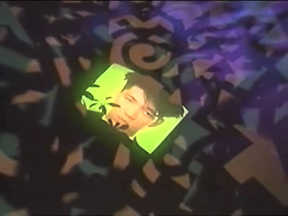 坂本龍一 (Ryuichi Sakamoto) : 羽の林で (Hane No Hayashi De)