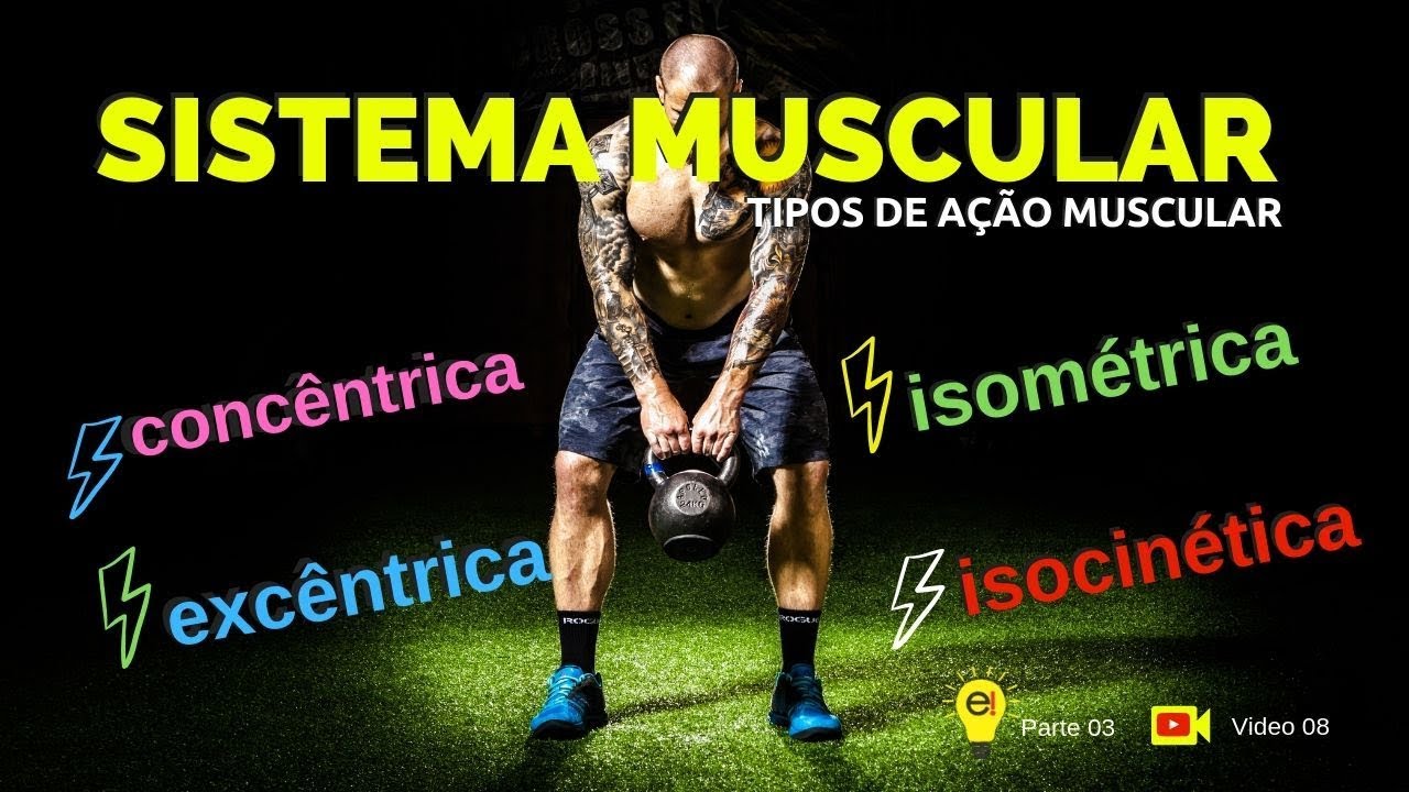 Tipos de Contração Muscular: Dinâmicas, Isométricas e Isotônicas