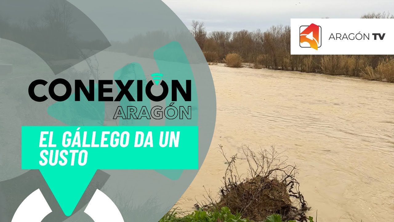 La crecida del Gállego remite tras el susto