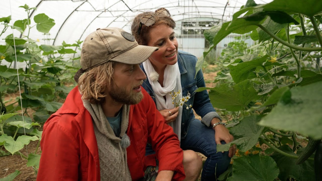 1. Juli 2023: Erdbeerzeit! 