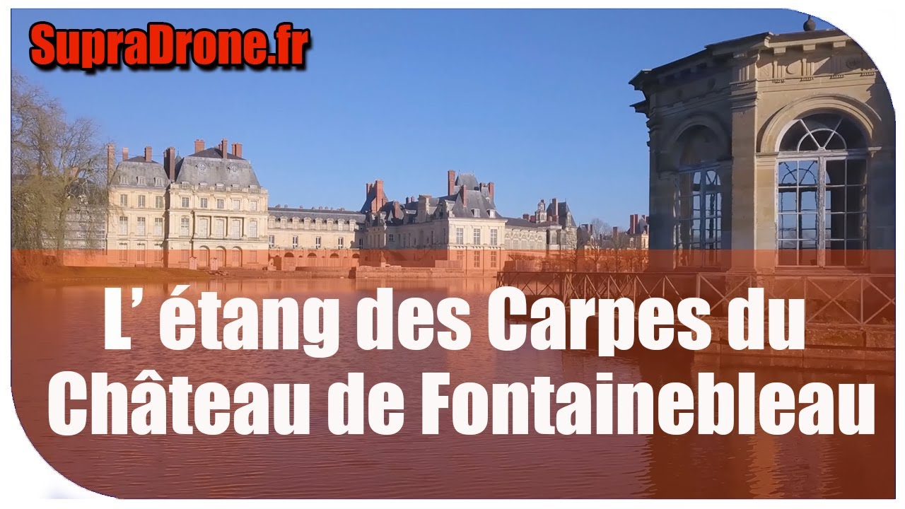 L &eacute;tang des carpes du Ch&acirc;teau de Fontainebleau
