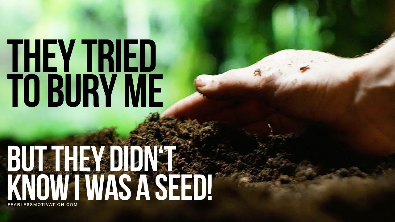 They Tried To Bury Me... But They Didn't Know I Was A SEED!