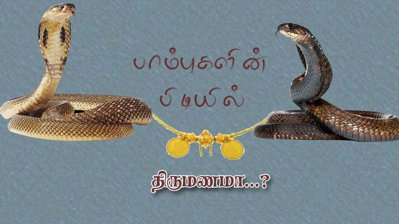 Delay in marriage due to snakes-சர்பங்களால் திருமண தடய ...?