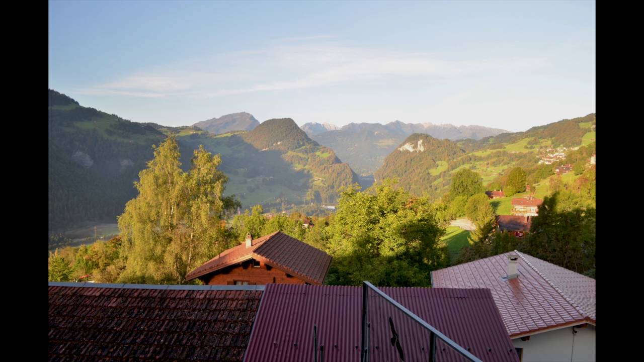 Fanas in the Morning
