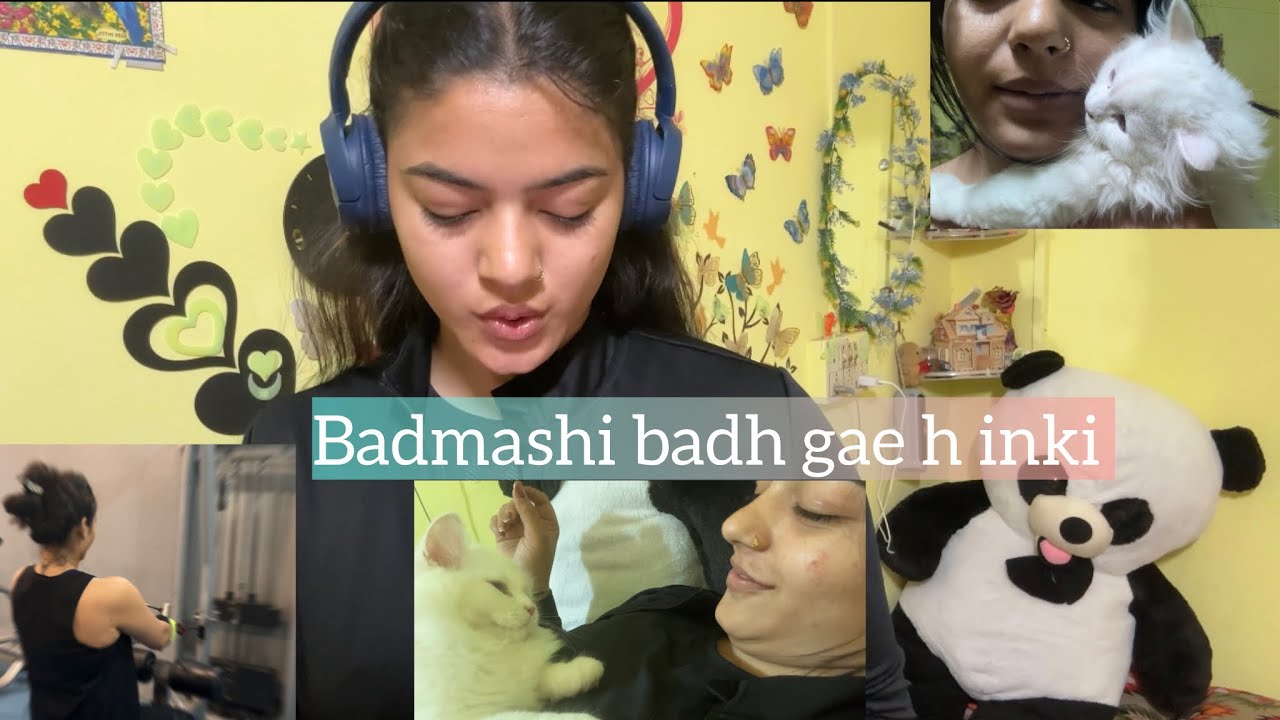 Daily vlog #minivlog #mini #vlog #gym #cat #love 