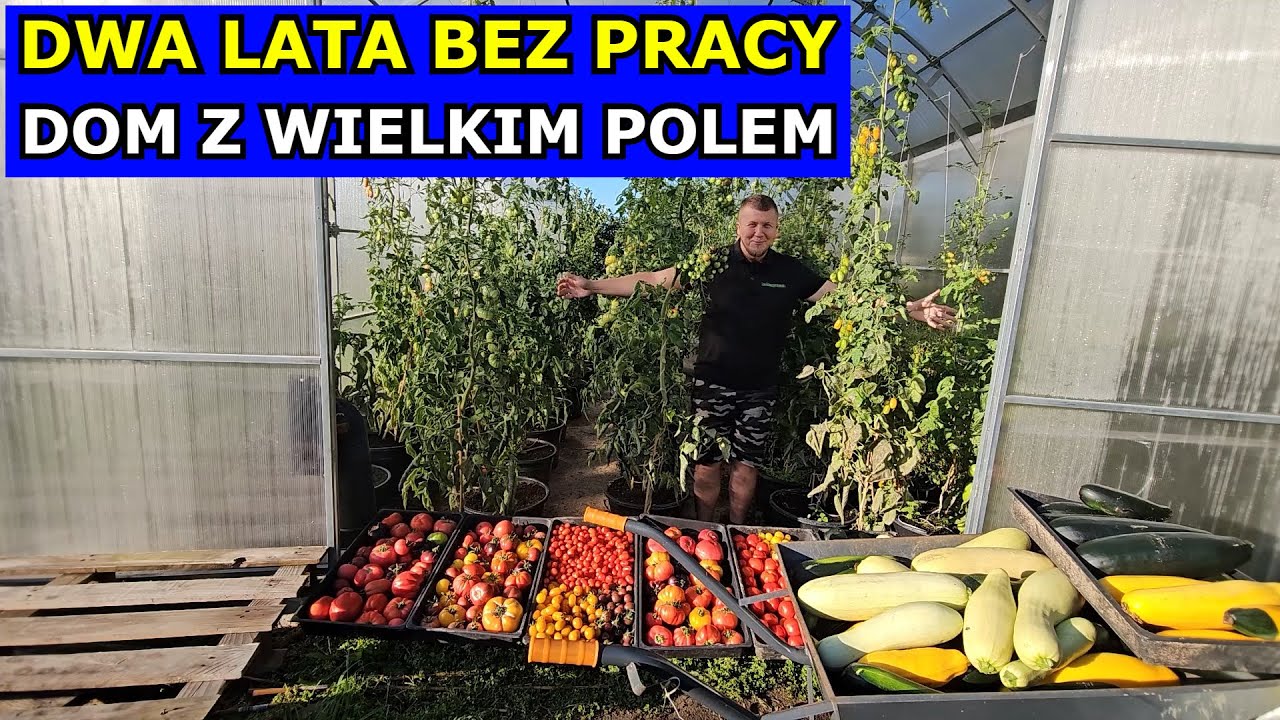 2 lata BEZ PRACY. To Zmieniło Nasze Życie. Samowystarczalność Kuchnia na Drewno. Dom z Wielkim Polem