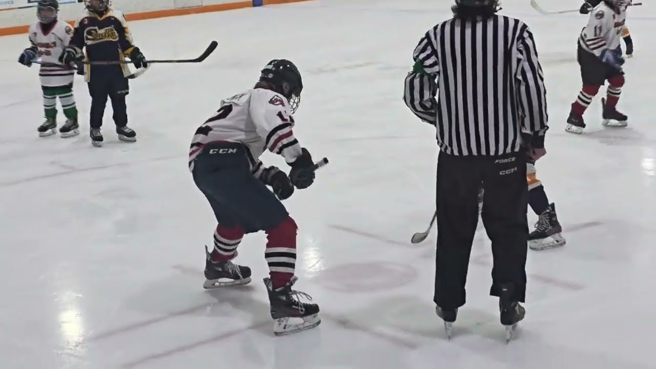 PLAYOFFS HOCKEY GONGAS VS OPP . A MUST WATCH VERY EXCITING U13