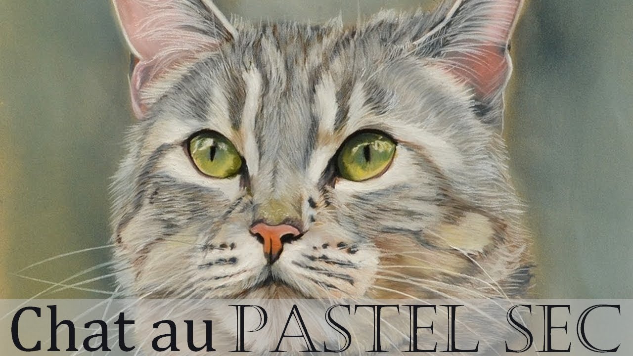 🐱 Chat au pastel (Speed painting)