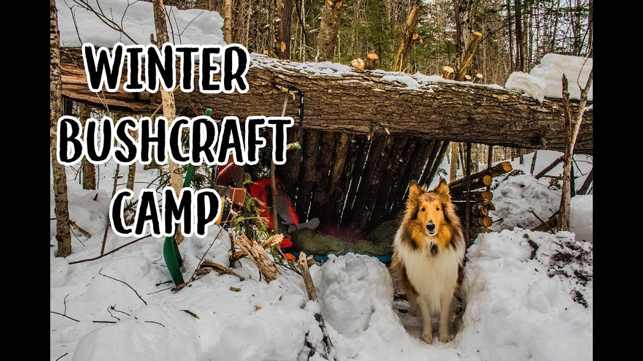 Winter Bushcraft Camp - Dead Materials Shelter