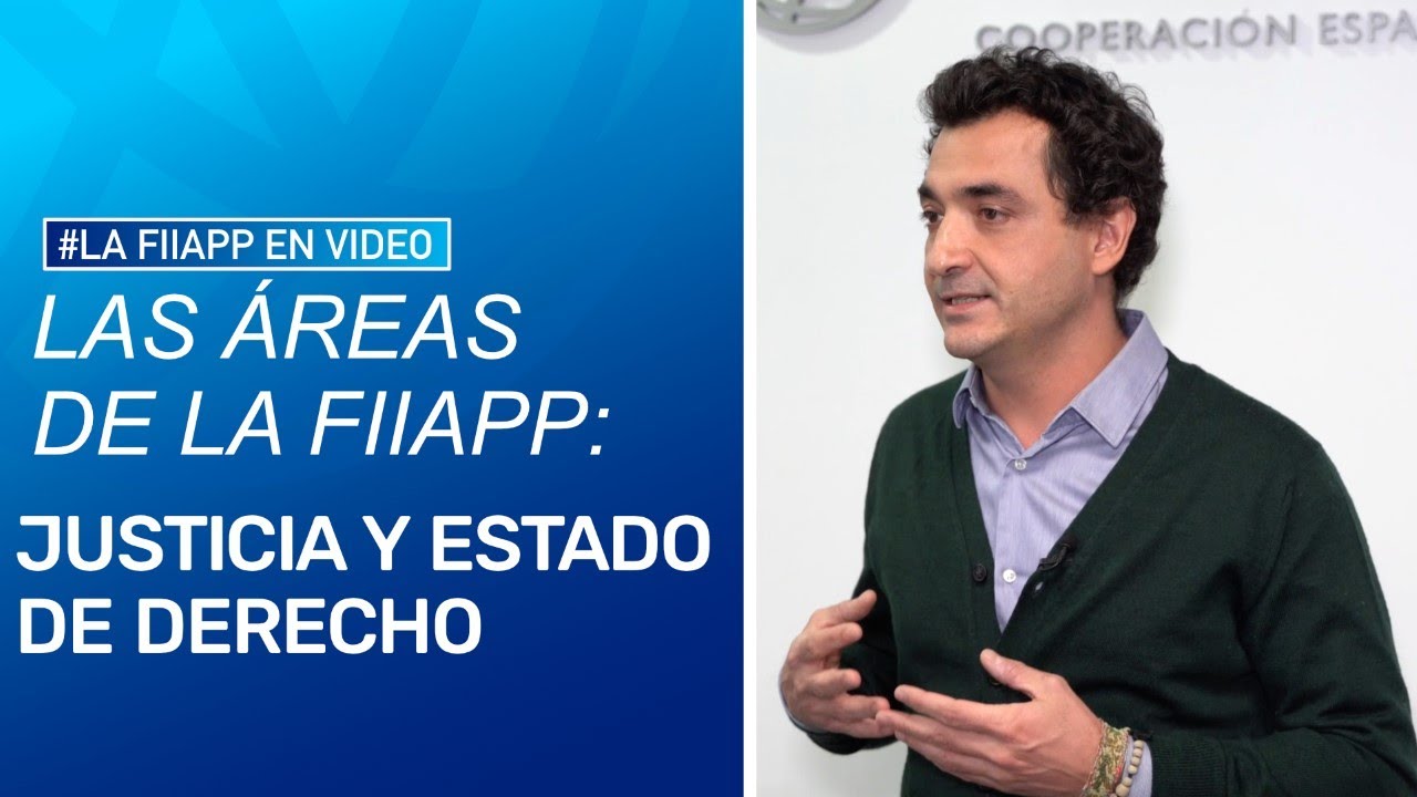 &Aacute;reas FIIAPP: Justicia y Estado de Derecho| FIIAPP