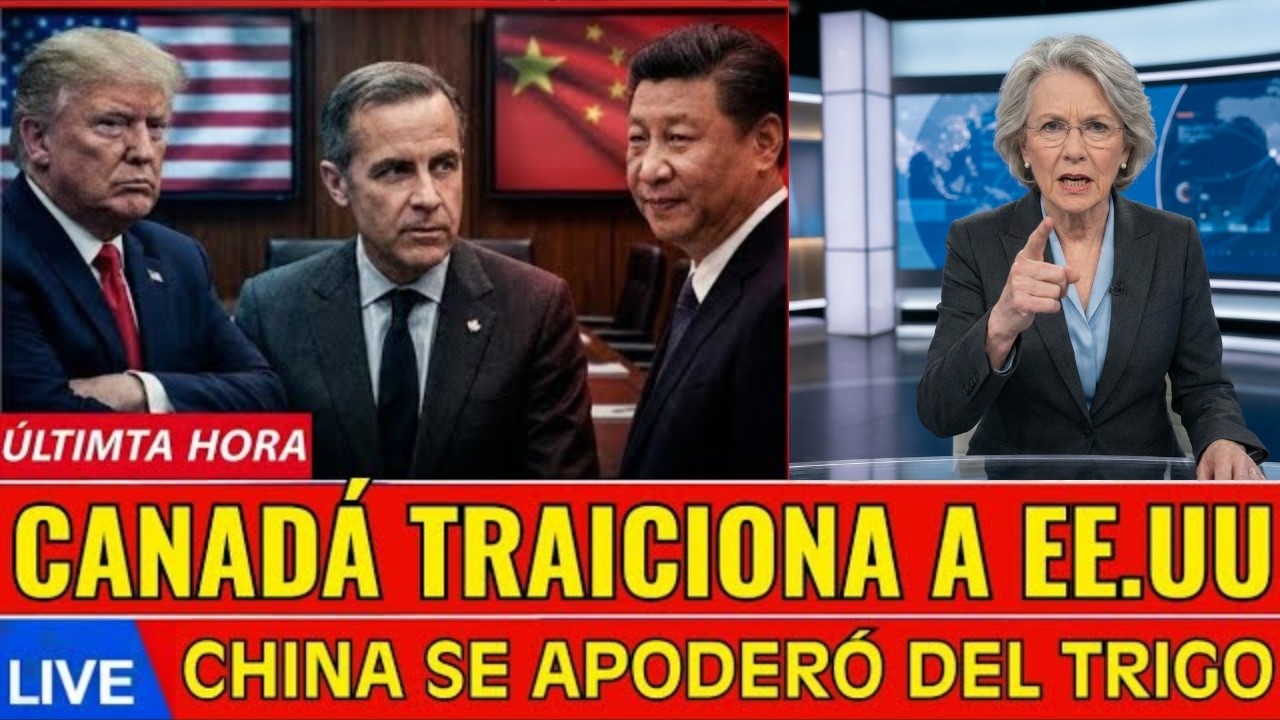 JUSTO AHORA: Mientras Trump presionaba a Canadá, China tomó el mercado del trigo