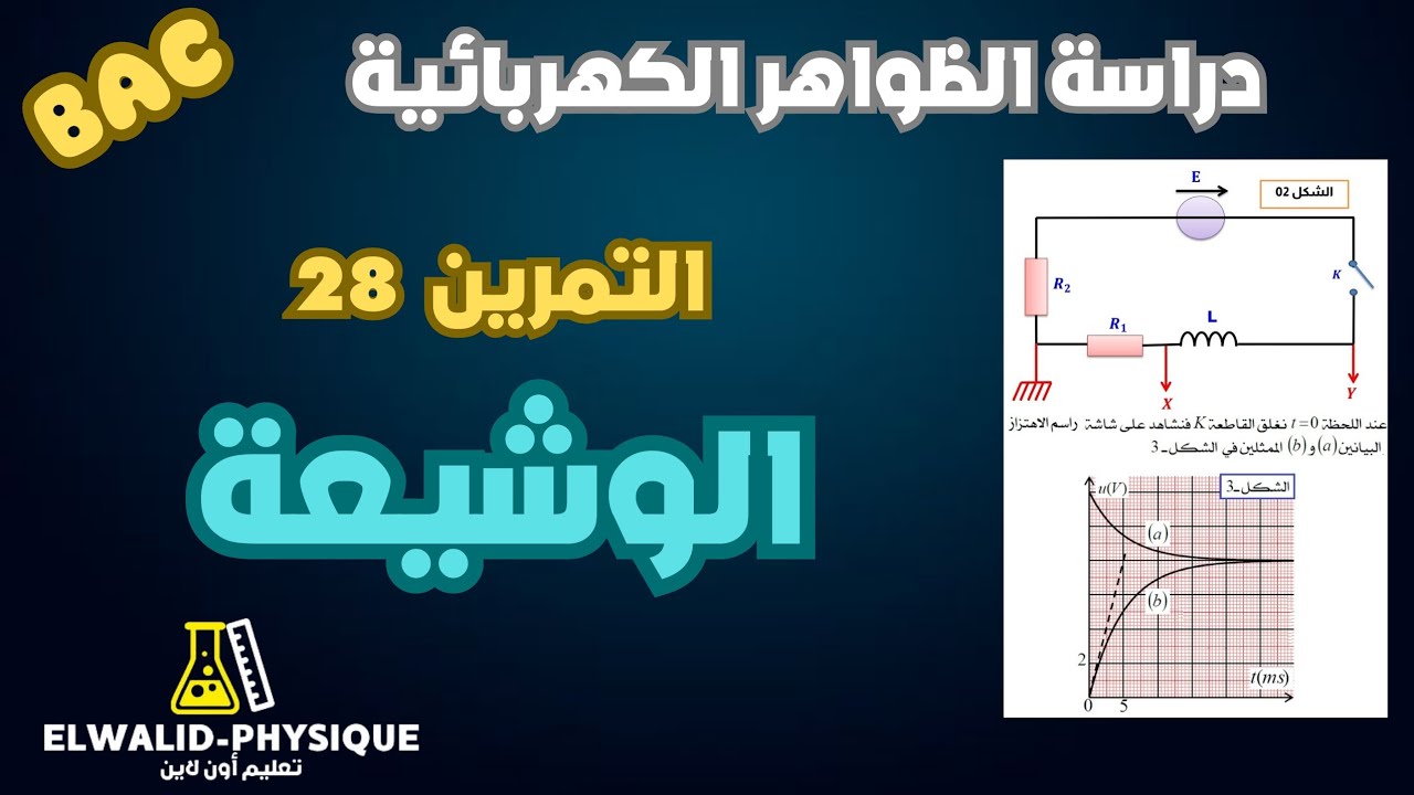 تمرين عملاق في الوشيعة 🔥بافكار متنوعة 📚تمرين 28 بكالوريا 🇩🇿