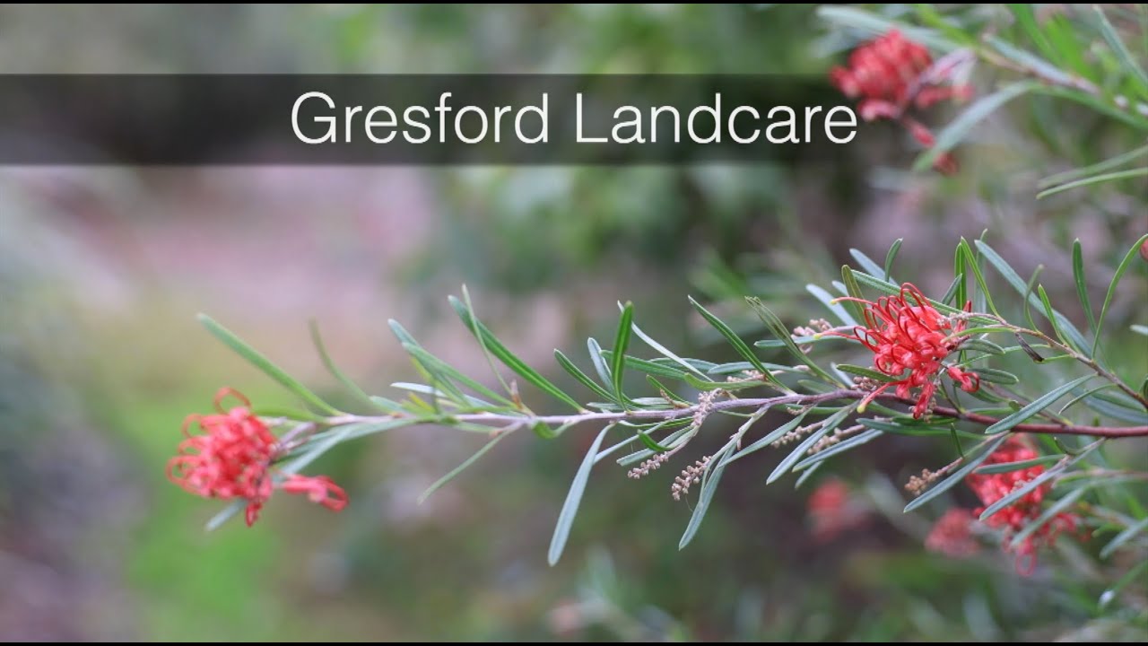 Gresford Landcare