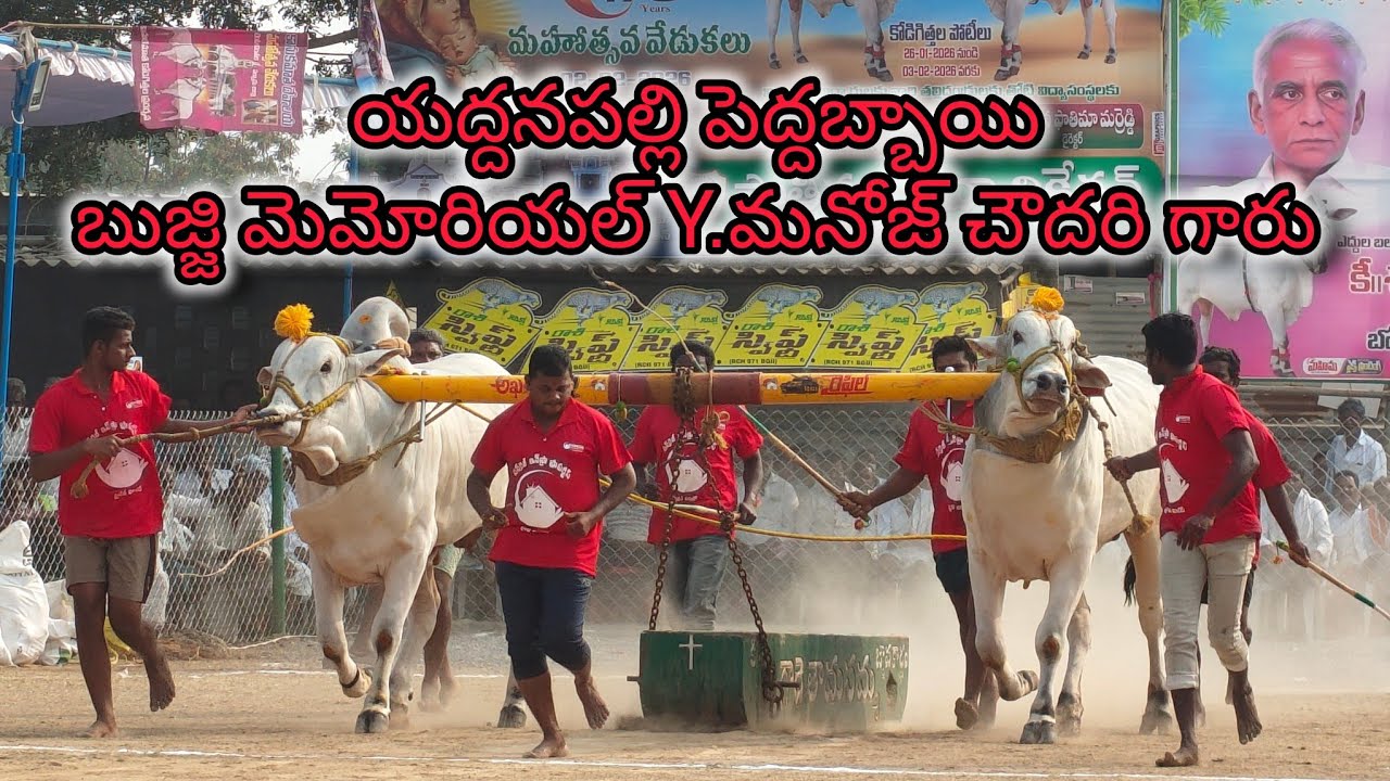 రెంటచింతల గ్రామం 6 పళ్ళ విభాగం 8వ జత యద్దనపల్లి పెద్దబ్బాయి బుజ్జి మెమోరియల్ Y.మనోజ్ చౌదరి రావిపాడు💥