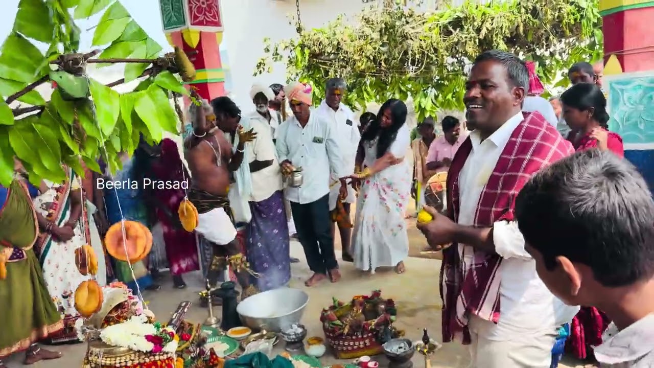 Gajja katenapudu in wanpatla #beerlaprasad #subscribe #youtubevideos #youtube #youtubeindia ￼